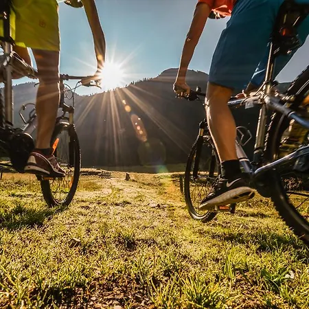 Schmiedlehenalm アパート *