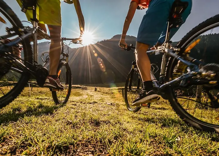 Schmiedlehenalm Apartment *